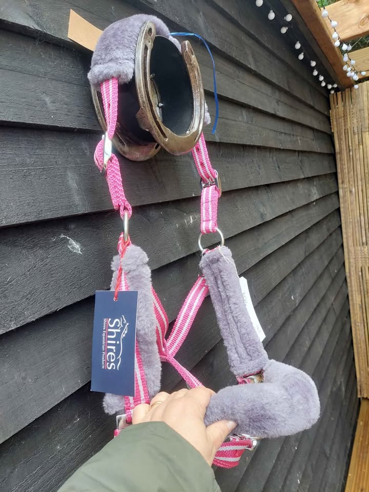 Pink/Grey Shires Headcollar (Size Full)