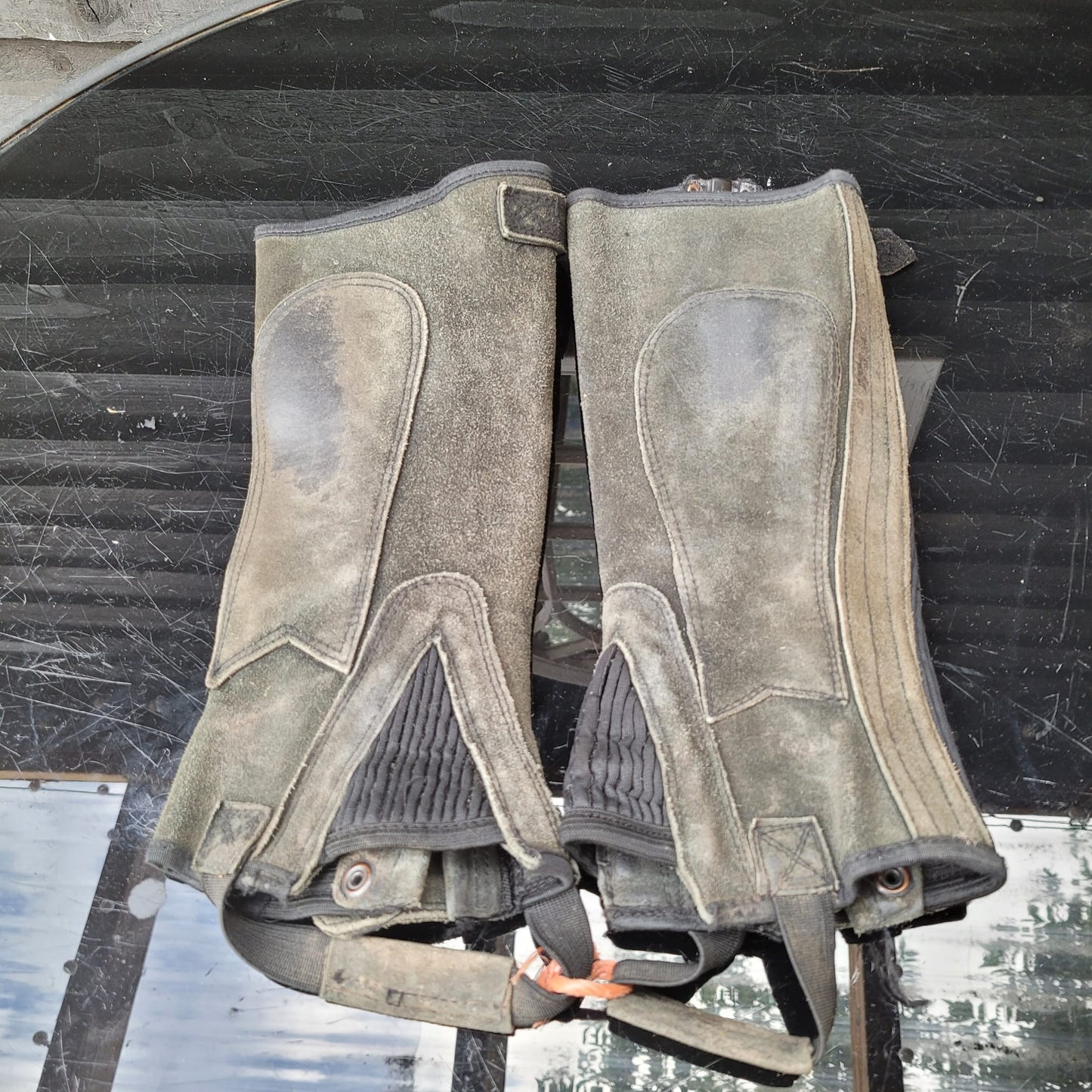 Half chaps Childs Size Small