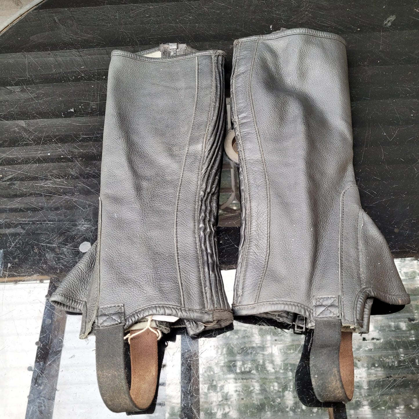 Gallop Half Chaps Size Medium