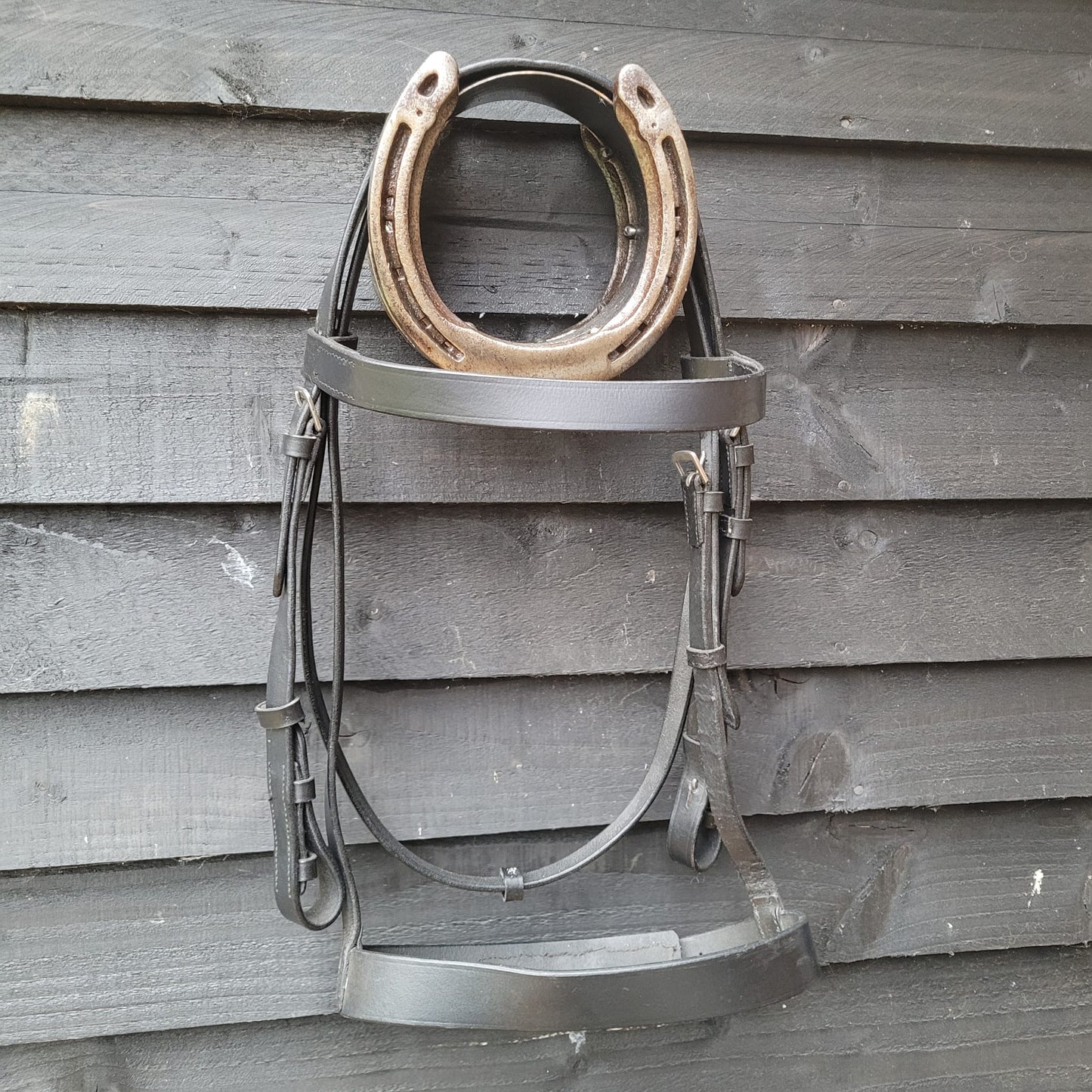 Black Hunter Bridle with reins (Size Cob)