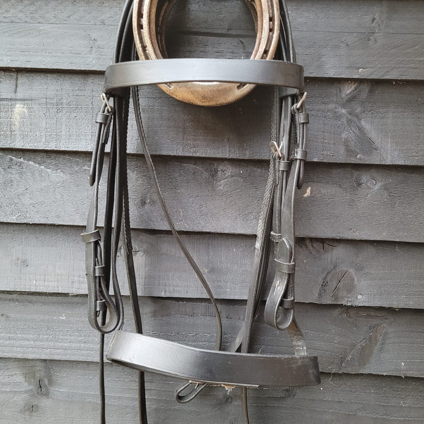 Black Hunter Bridle with reins (Size Cob)