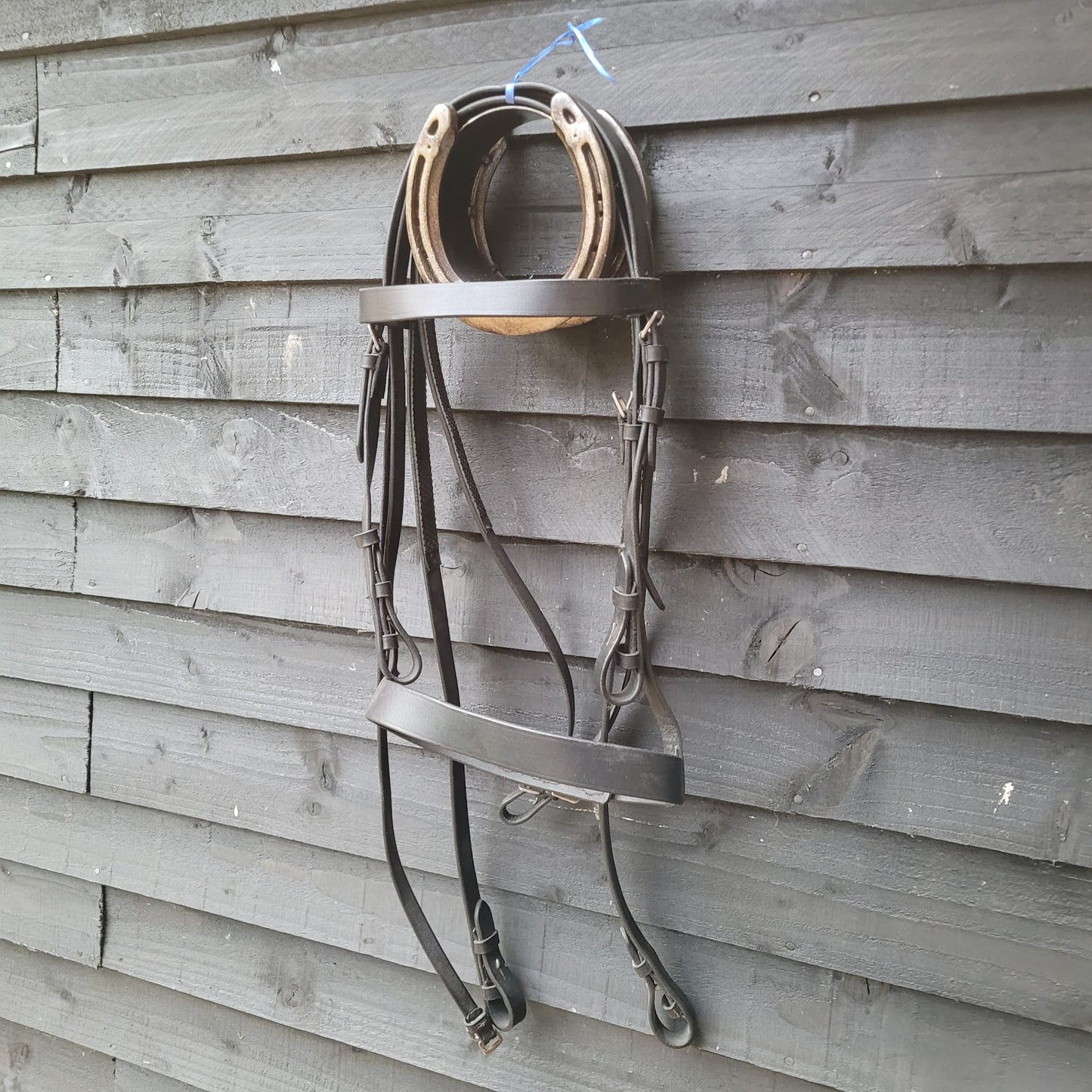 Black Hunter Bridle with reins (Size Cob)