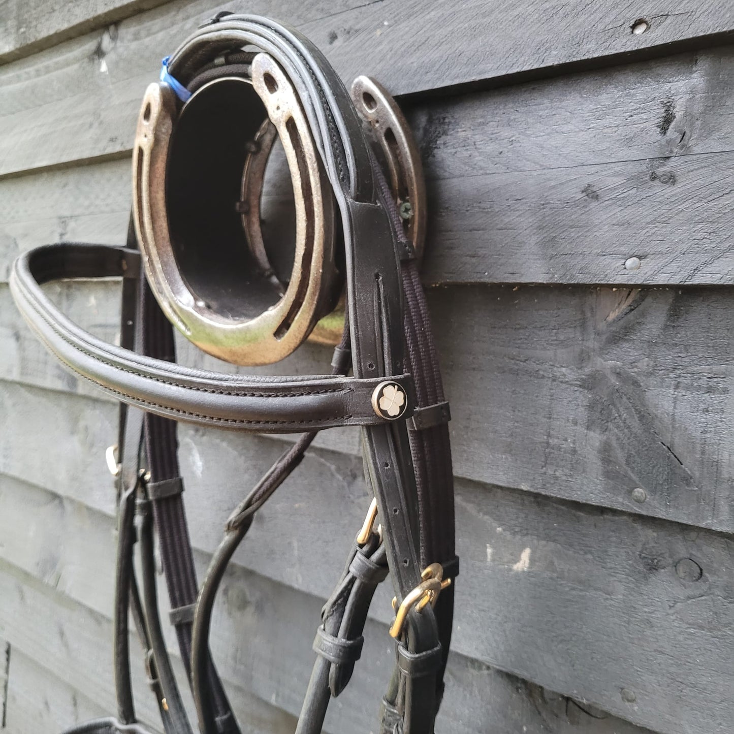 New Black Bridal (Full Size) Complete with Reins
