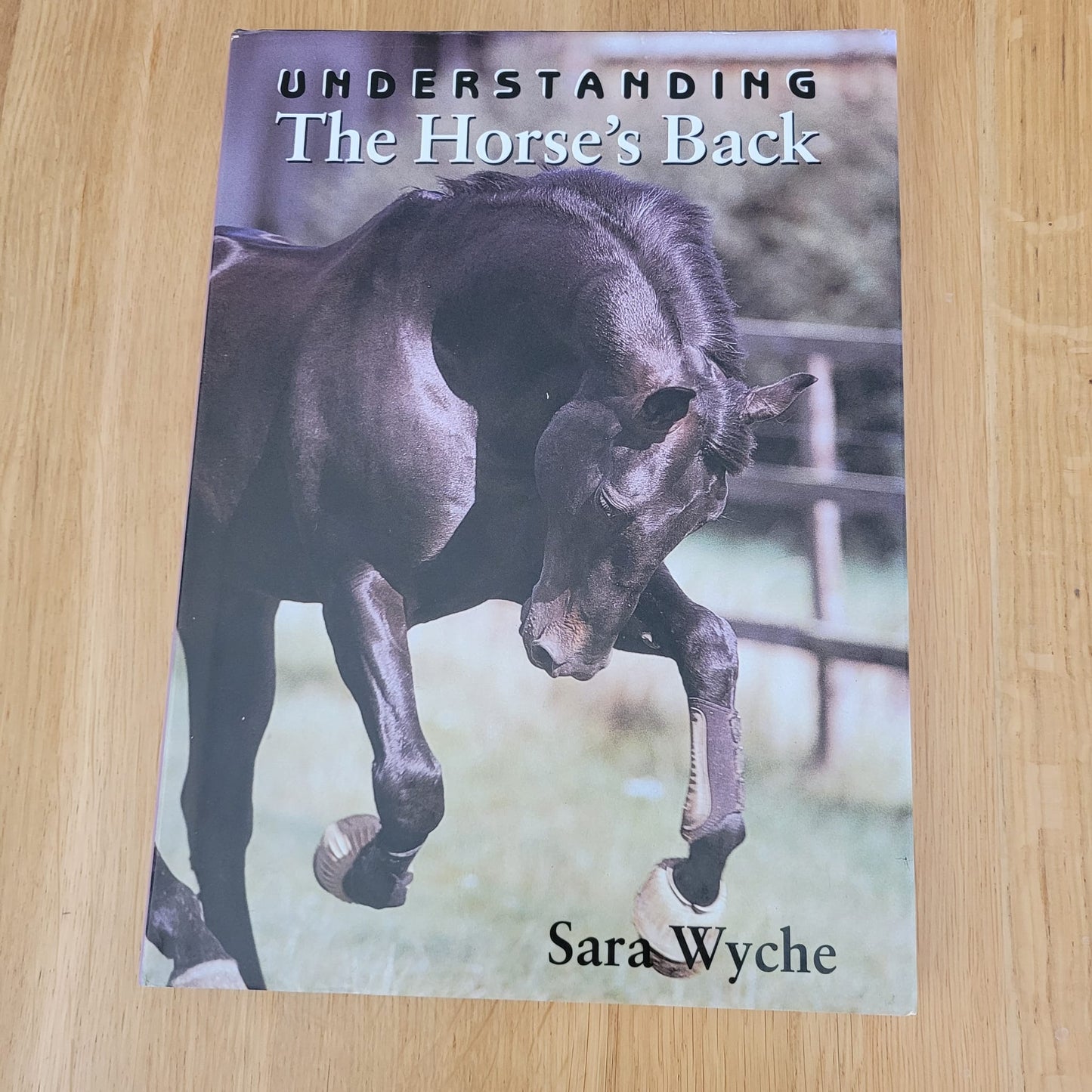Understanding The Horses Back By Sarah Wyche