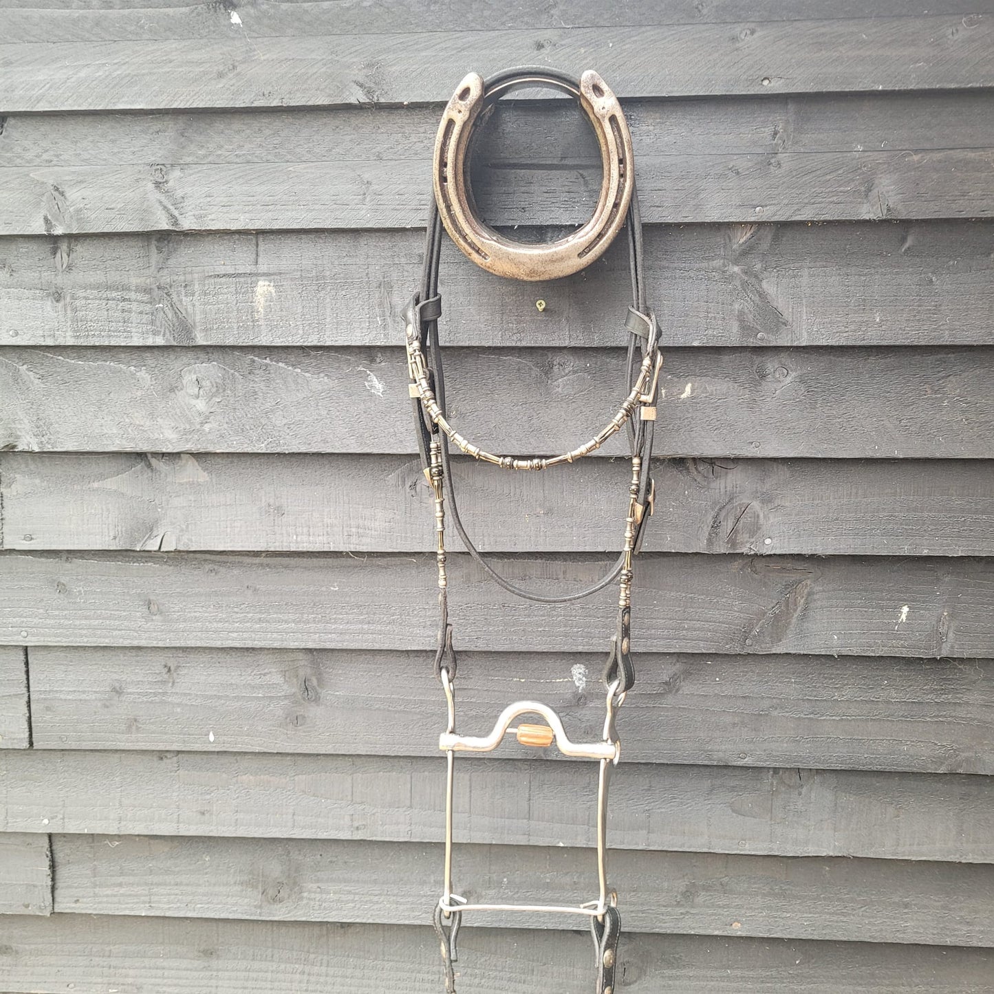 Western Show Headstall/ Bridle, Reins & Bit