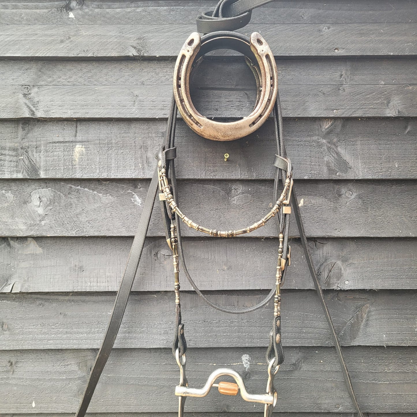 Western Show Headstall/ Bridle, Reins & Bit