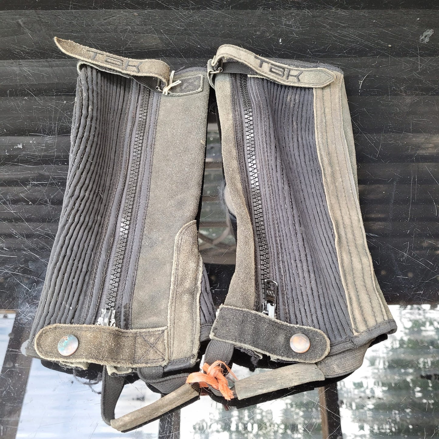 Half chaps Childs Size Small