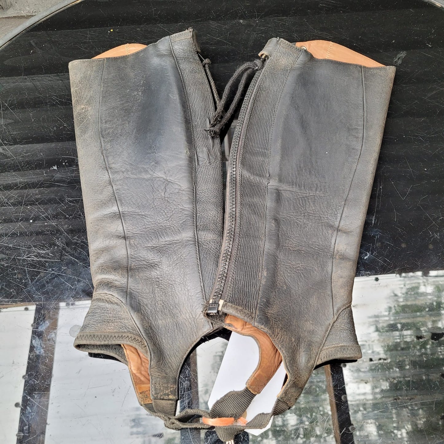 Ariat Black Leather Half Chaps (Size Medium)