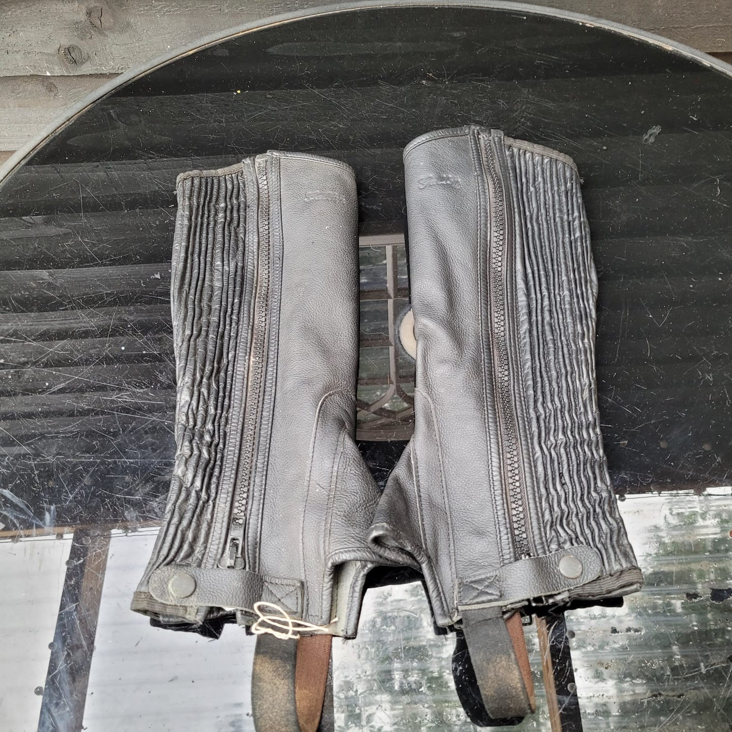 Gallop Half Chaps Size Medium
