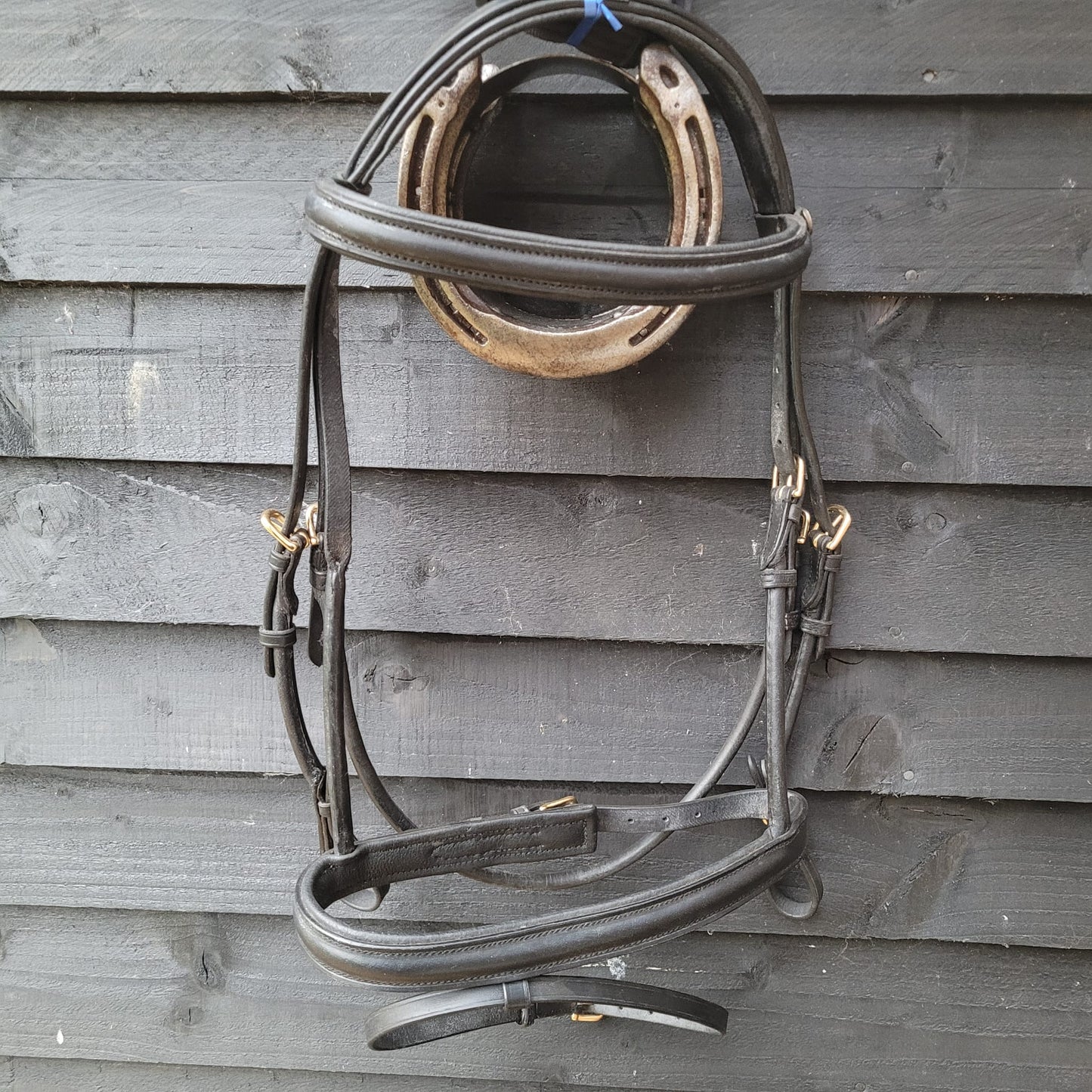 New Black Bridal (Full Size) Complete with Reins