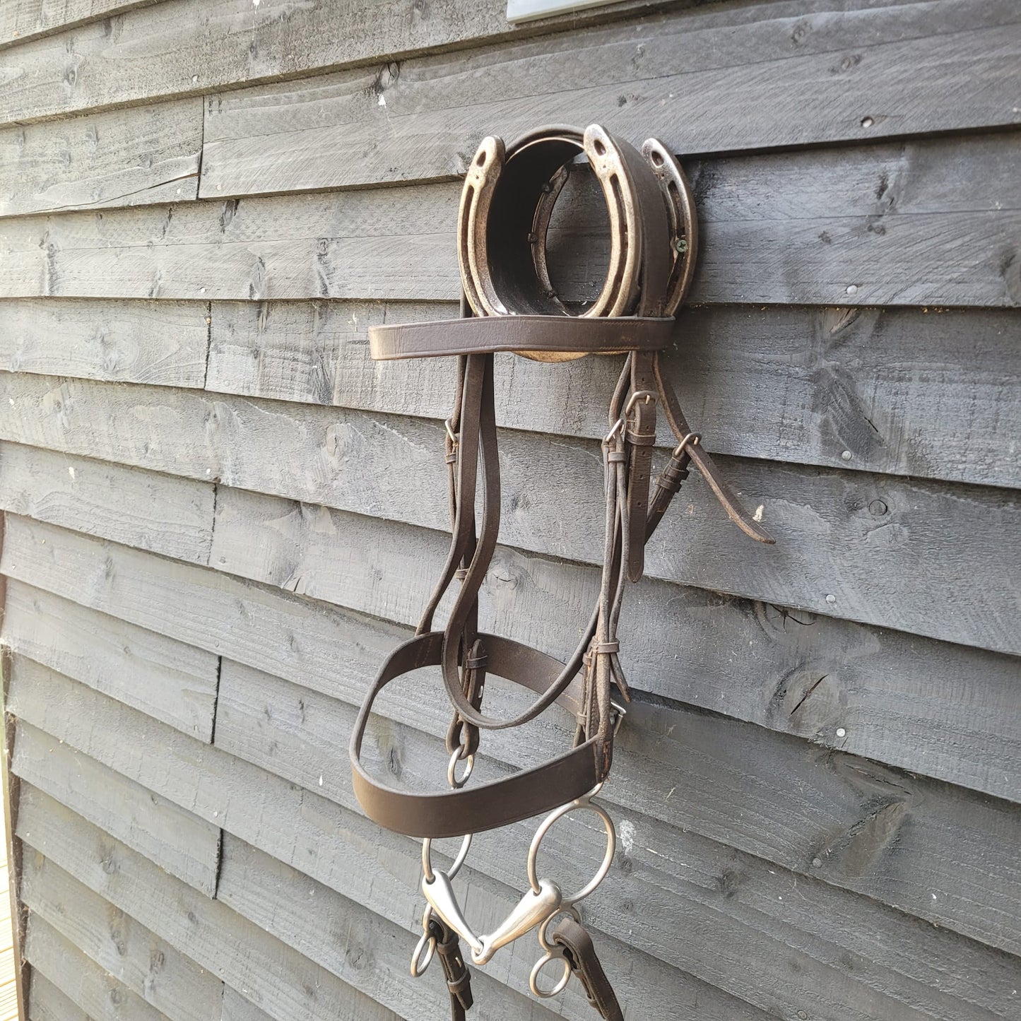 Brown Full Size Hunter Bridle with Reins, Windsor Martingale & 5.5" Gag Bit Good Used Condition.