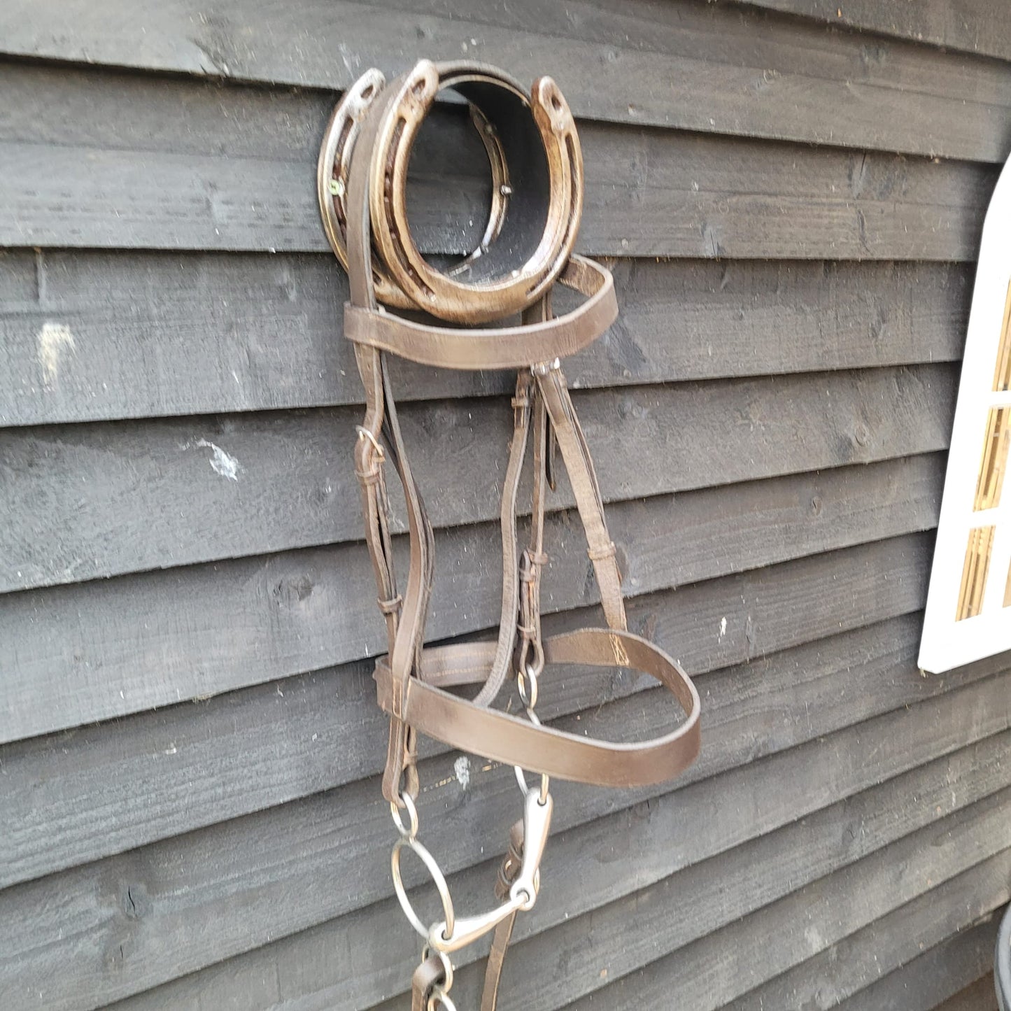 Brown Full Size Hunter Bridle with Reins, Windsor Martingale & 5.5" Gag Bit Good Used Condition.