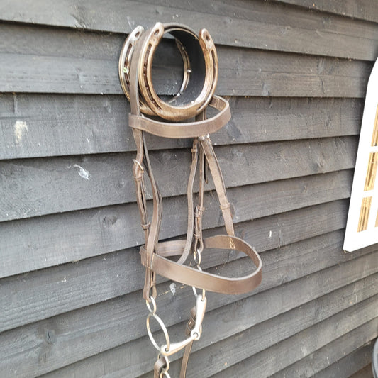 Brown Full Size Hunter Bridle with Reins, Windsor Martingale & 5.5" Gag Bit Good Used Condition.