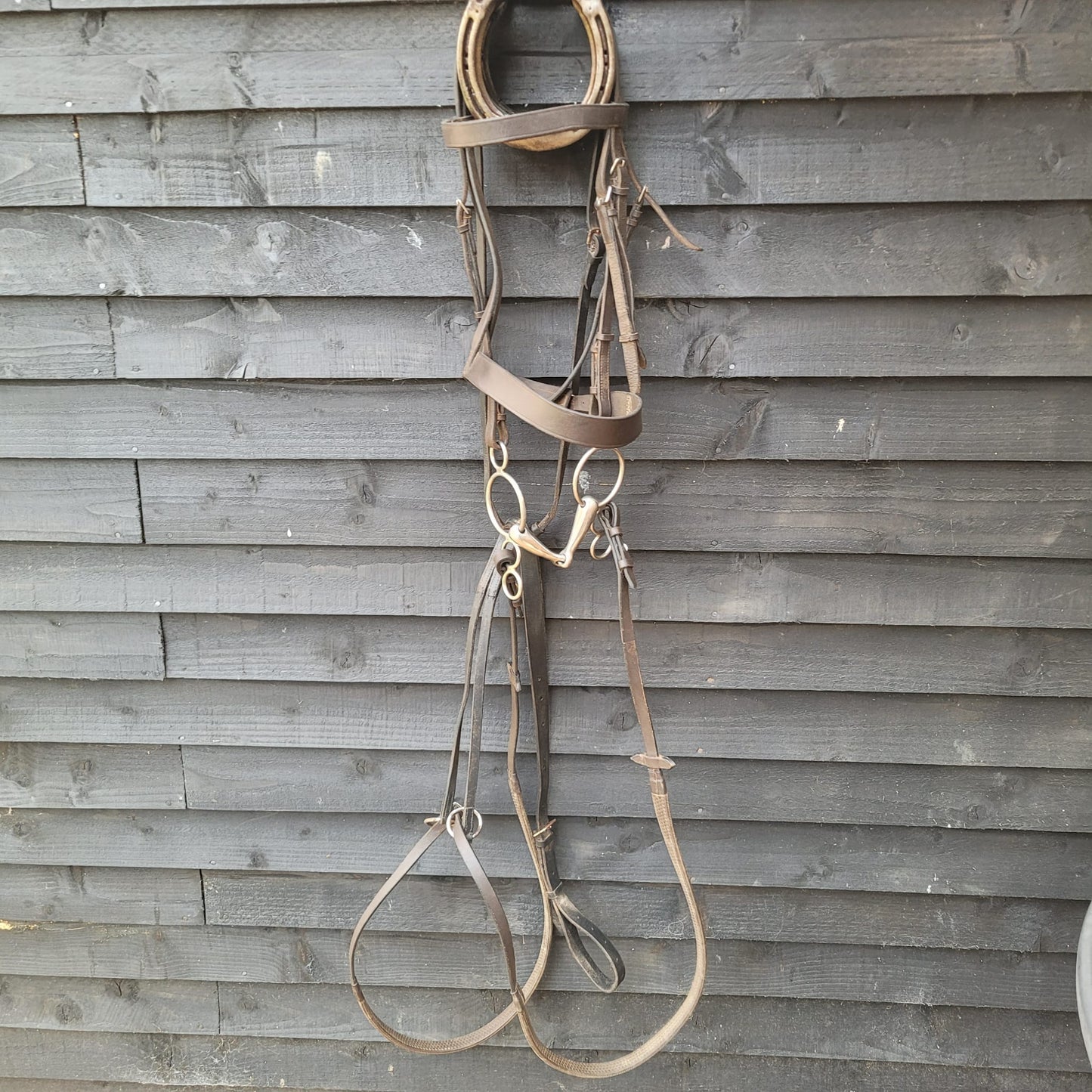 Brown Full Size Hunter Bridle with Reins, Windsor Martingale & 5.5" Gag Bit Good Used Condition.