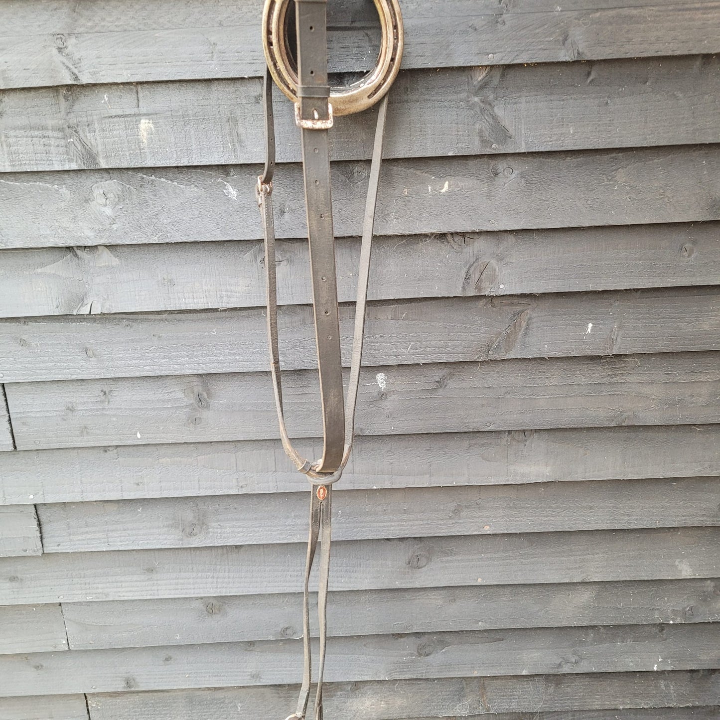 Brown Full Size Hunter Bridle with Reins, Windsor Martingale & 5.5" Gag Bit Good Used Condition.
