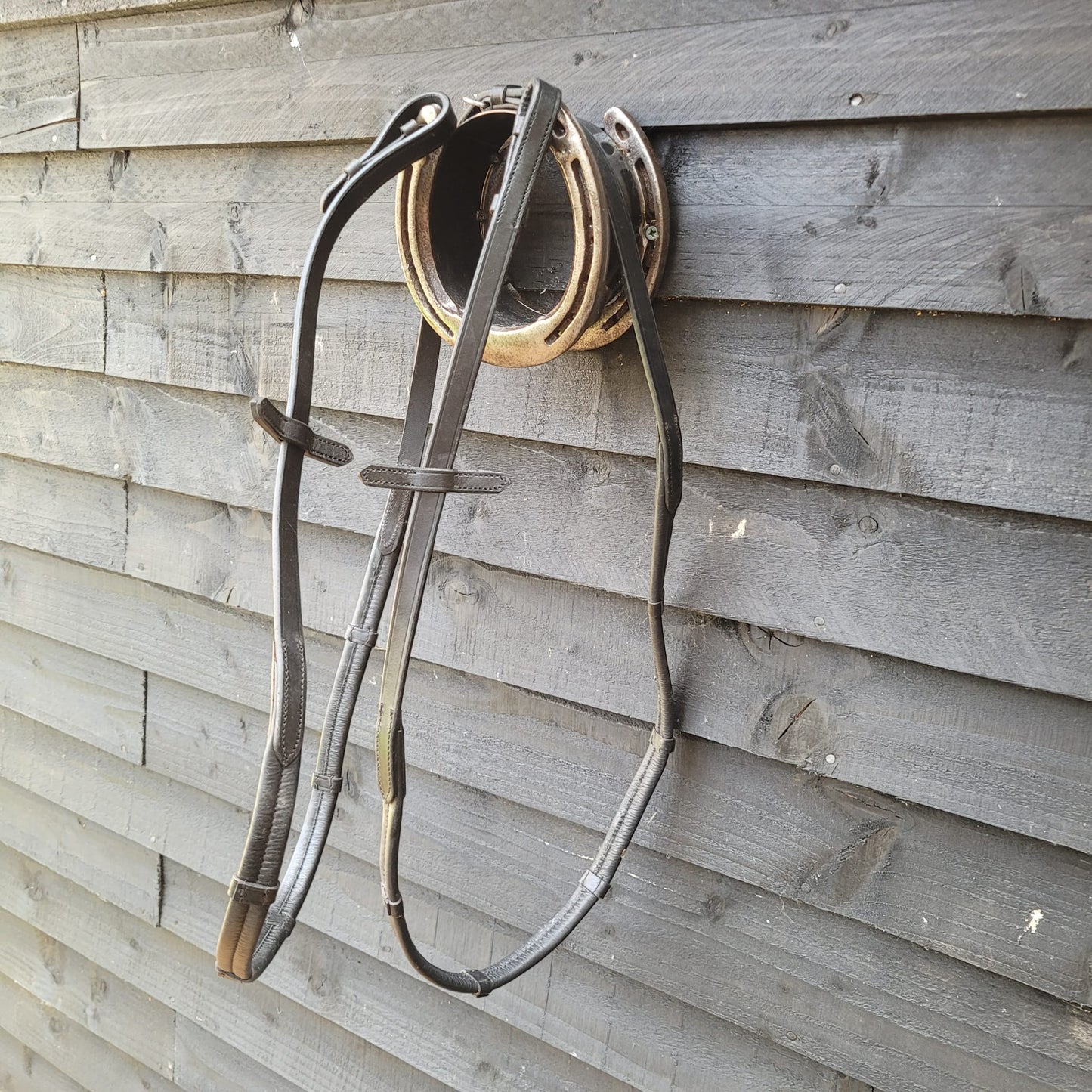 Leather Reins Size Cob Good Condition