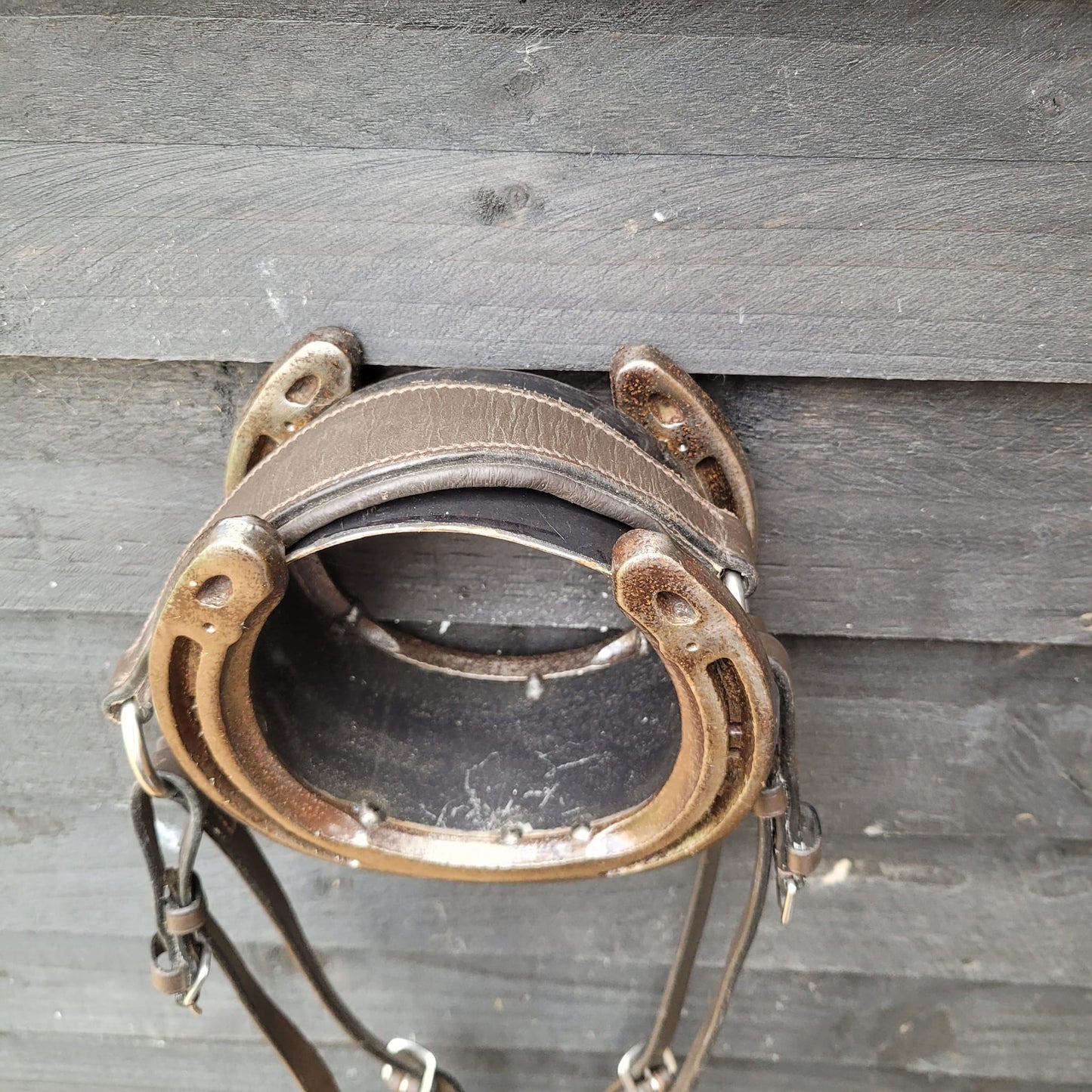Brown Leather Breastplate Size Cob Excellent Condition