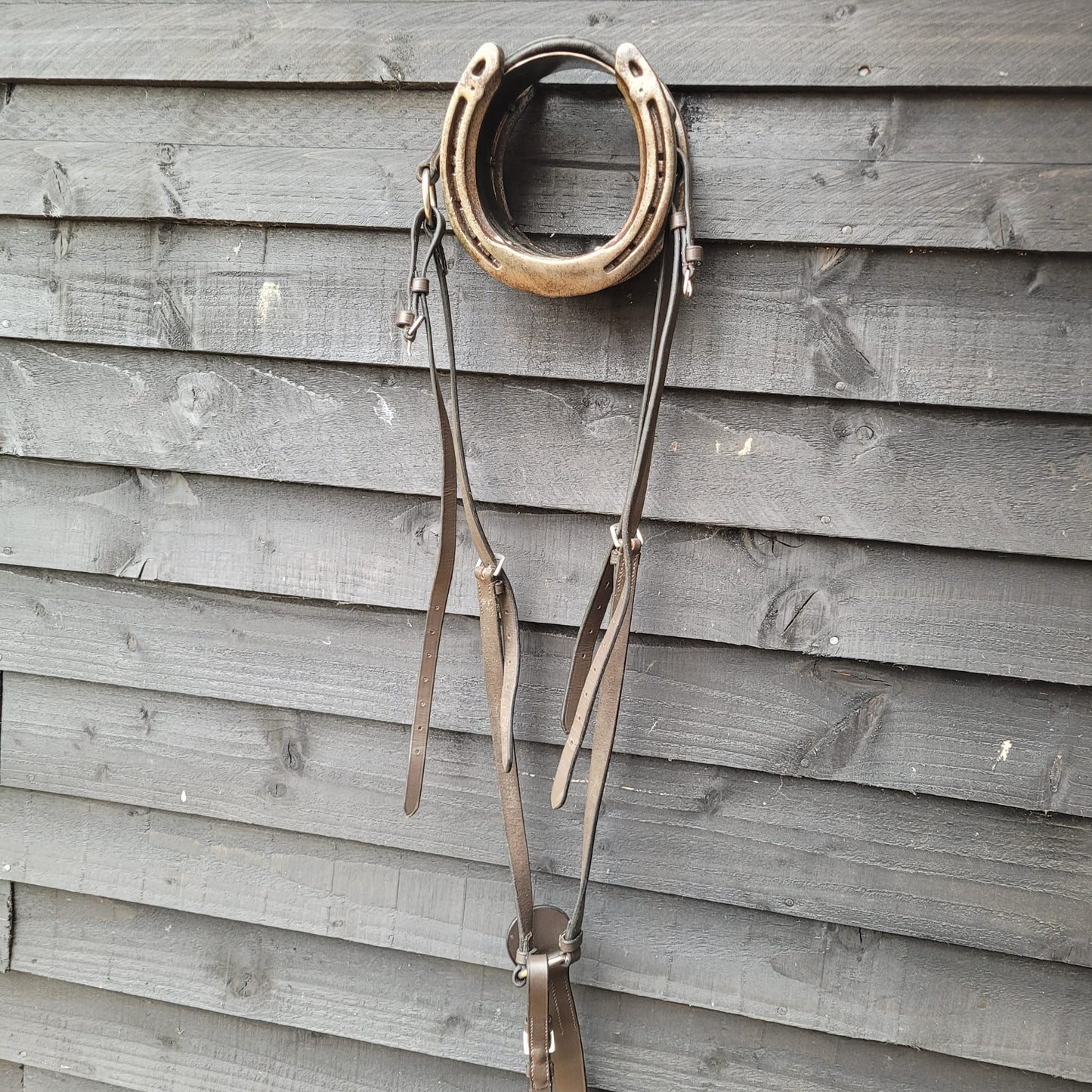 Brown Leather Breastplate Size Cob Excellent Condition