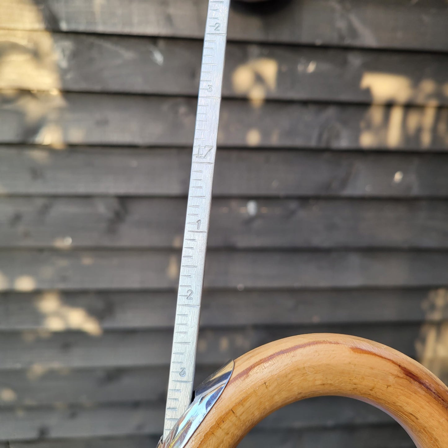 Dealers/ Judges Cane With Measuring Stick in Handle
