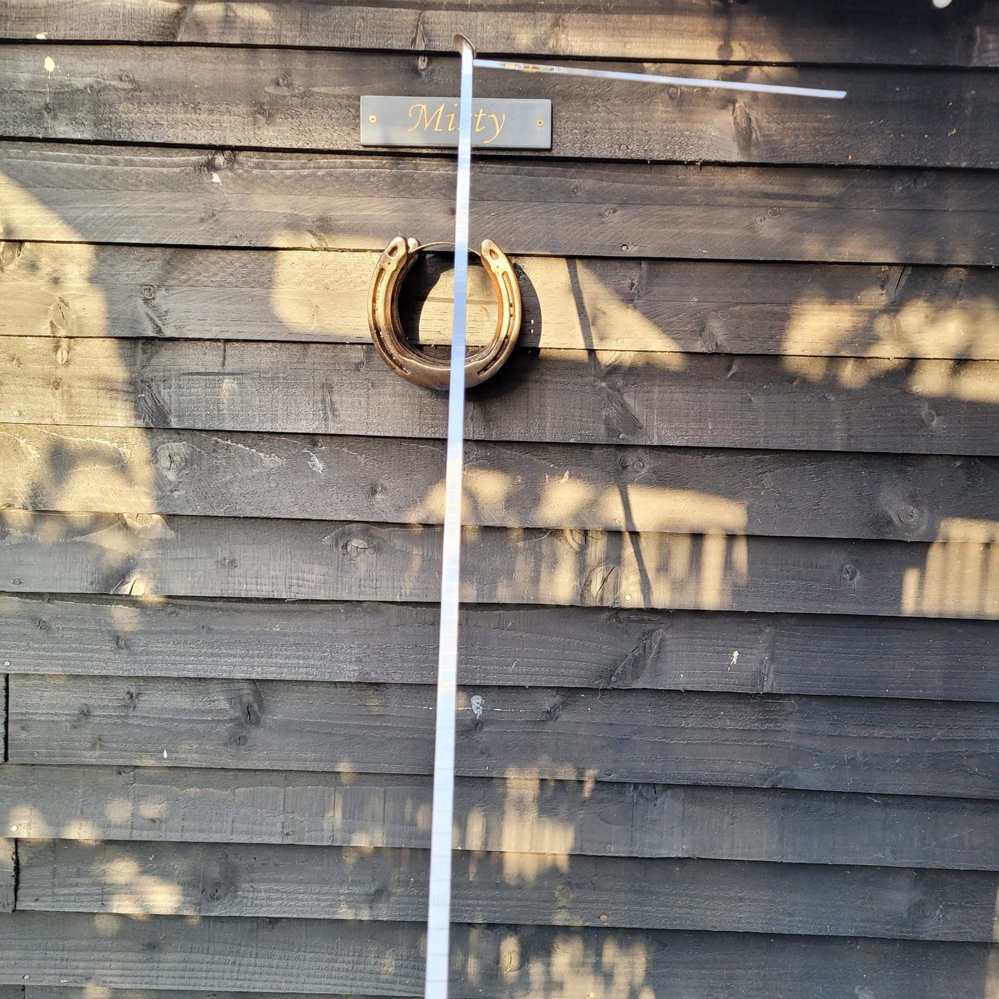Dealers/ Judges Cane With Measuring Stick in Handle