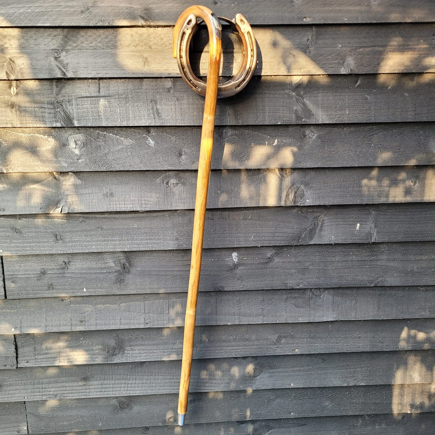 Dealers/ Judges Cane With Measuring Stick in Handle