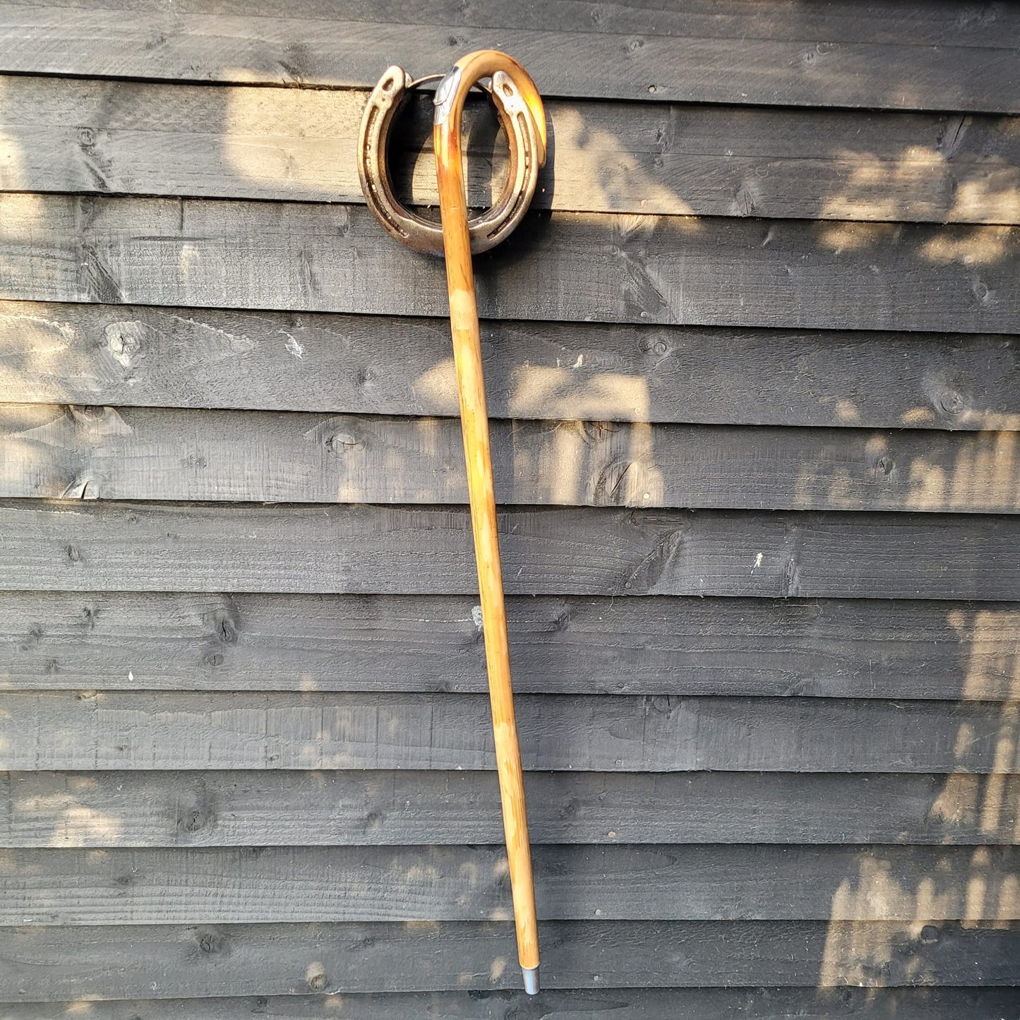 Dealers/ Judges Cane With Measuring Stick in Handle