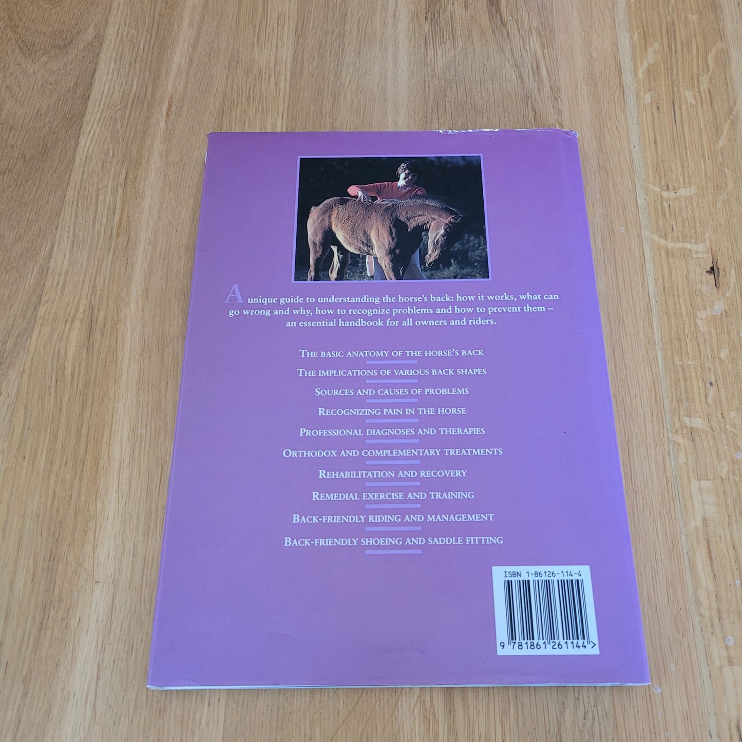 Understanding The Horses Back By Sarah Wyche