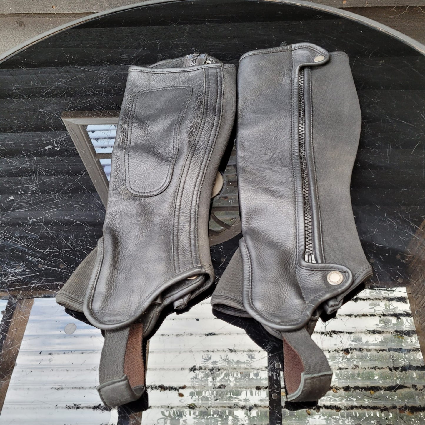 Bridleway Black Half Chaps Size Large