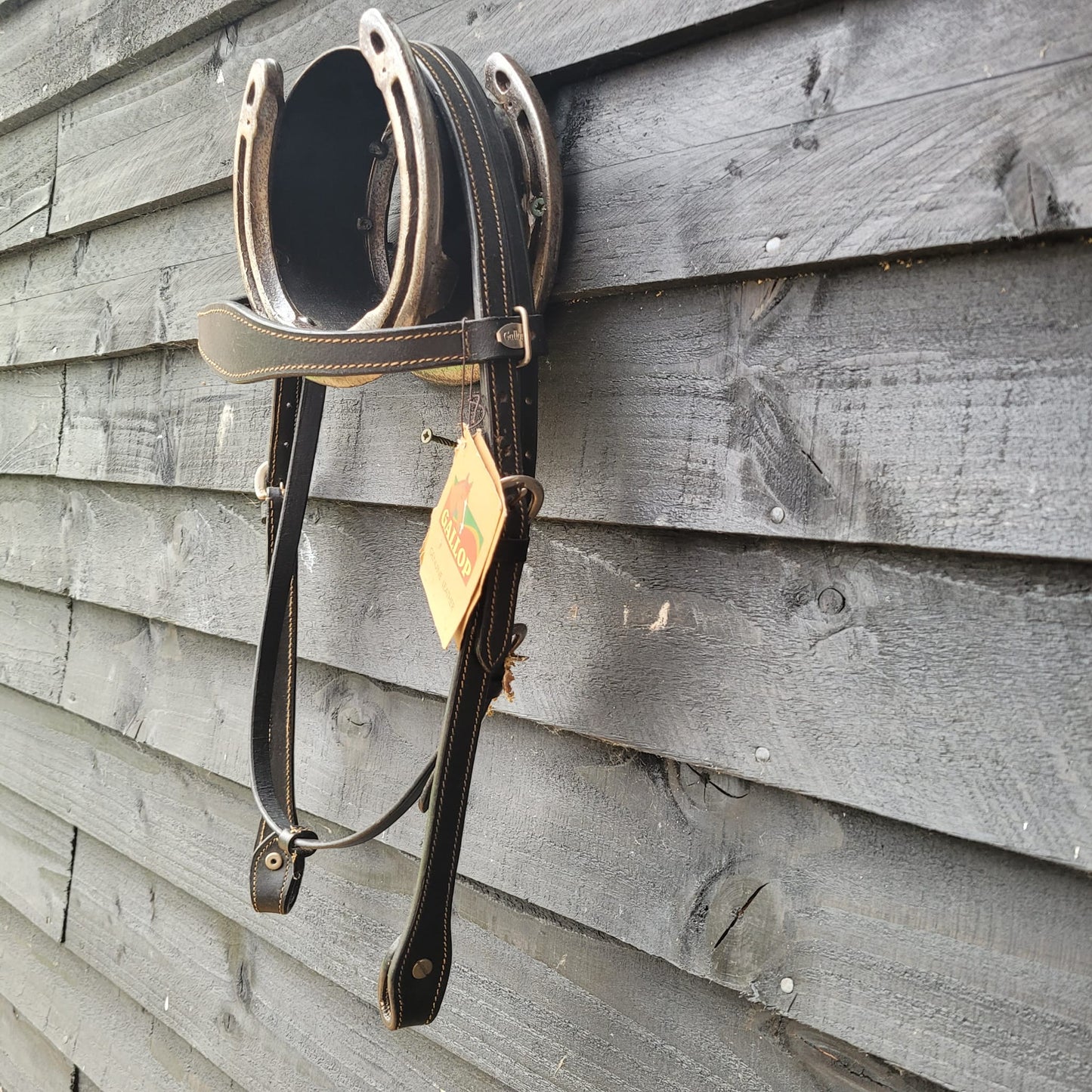 Western Headstall/ Bridle Size Pony