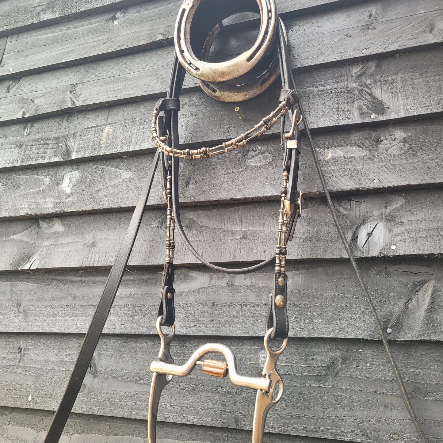Western Show Headstall/ Bridle, Reins & Bit