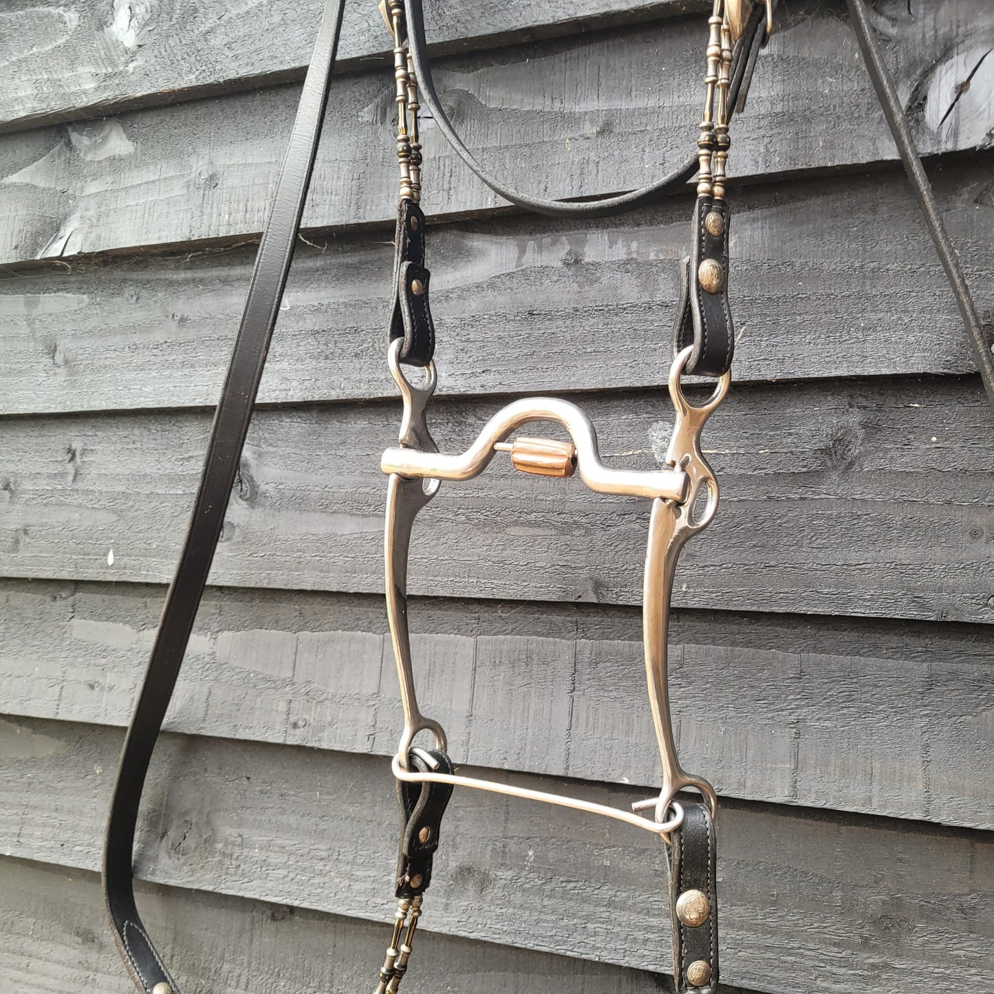 Western Show Headstall/ Bridle, Reins & Bit