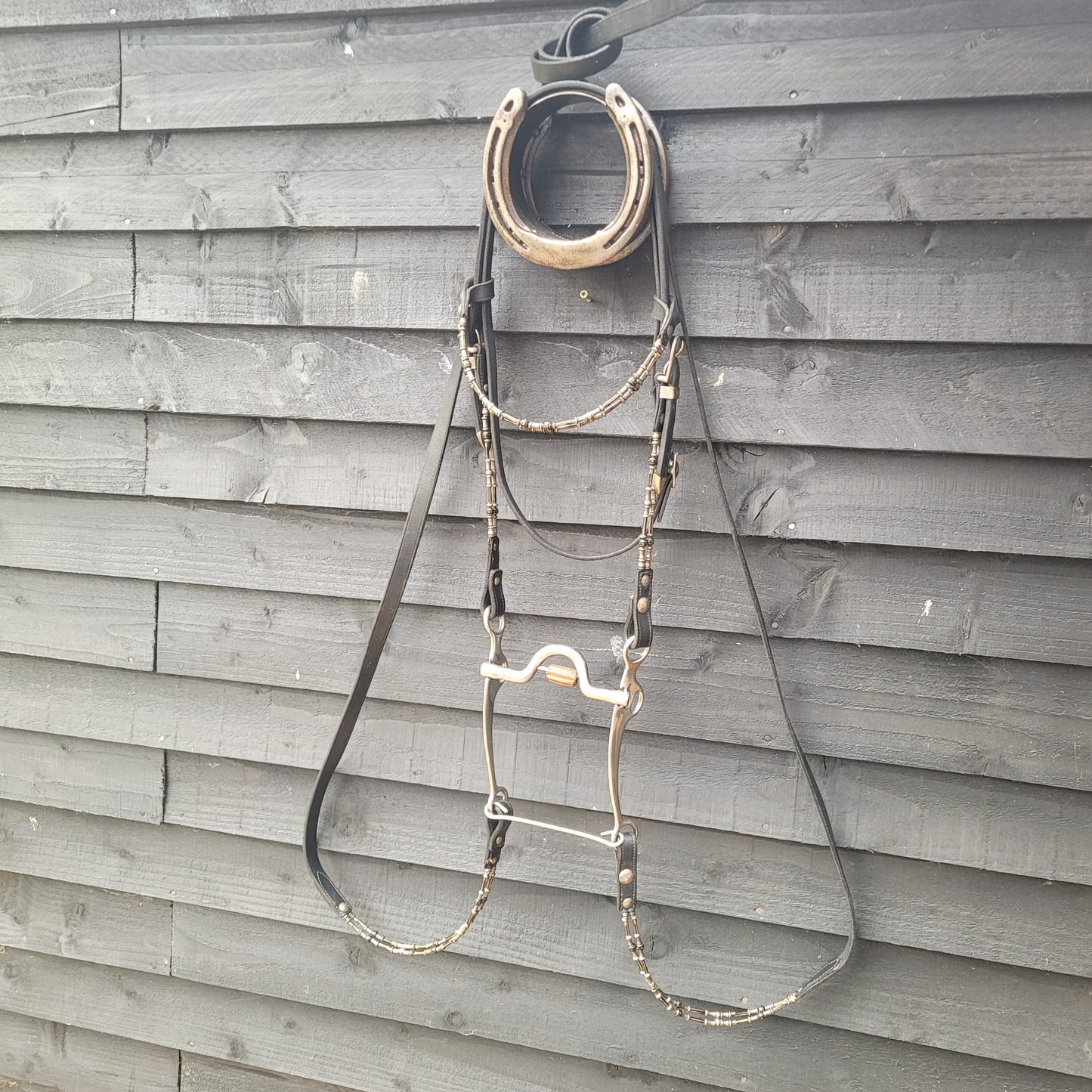 Western Show Headstall/ Bridle, Reins & Bit