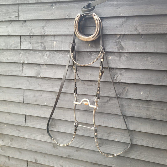 Western Show Headstall/ Bridle, Reins & Bit